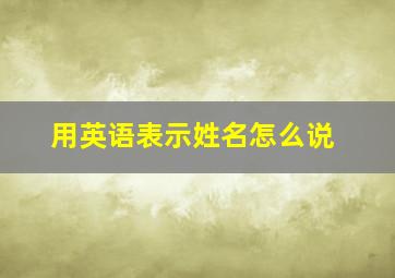 用英语表示姓名怎么说