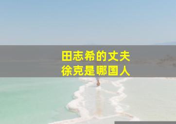 田志希的丈夫徐克是哪国人