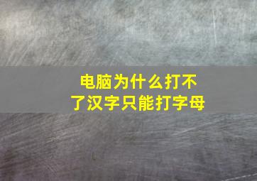 电脑为什么打不了汉字只能打字母