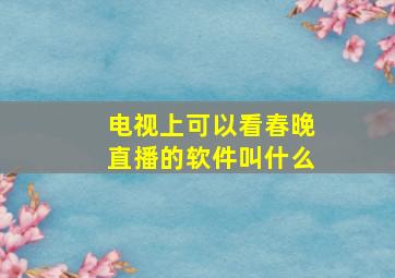 电视上可以看春晚直播的软件叫什么