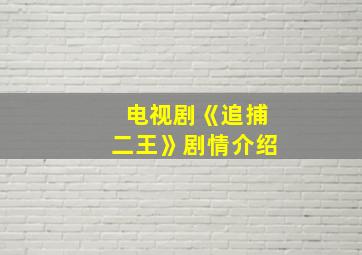 电视剧《追捕二王》剧情介绍