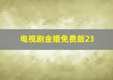 电视剧金婚免费版23