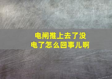 电闸推上去了没电了怎么回事儿啊