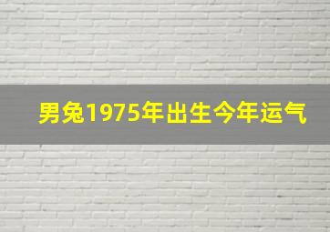 男兔1975年出生今年运气