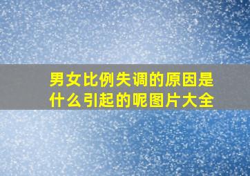 男女比例失调的原因是什么引起的呢图片大全