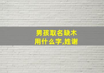 男孩取名缺木用什么字,姓谢