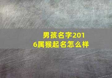 男孩名字2016属猴起名怎么样