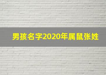 男孩名字2020年属鼠张姓