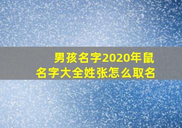 男孩名字2020年鼠名字大全姓张怎么取名