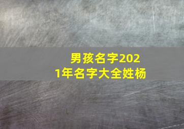 男孩名字2021年名字大全姓杨