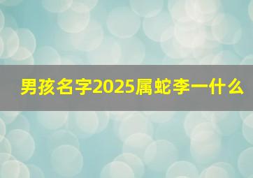 男孩名字2025属蛇李一什么