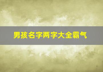 男孩名字两字大全霸气