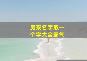 男孩名字取一个字大全霸气