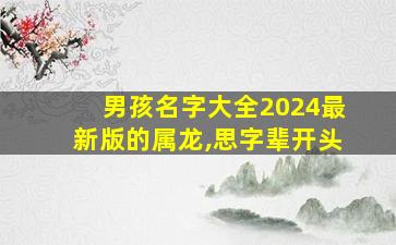 男孩名字大全2024最新版的属龙,思字辈开头