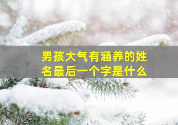 男孩大气有涵养的姓名最后一个字是什么