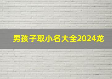 男孩子取小名大全2024龙