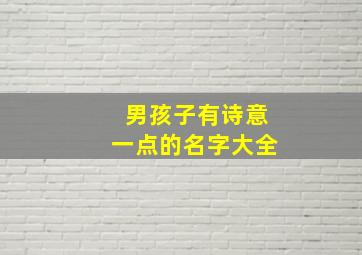 男孩子有诗意一点的名字大全