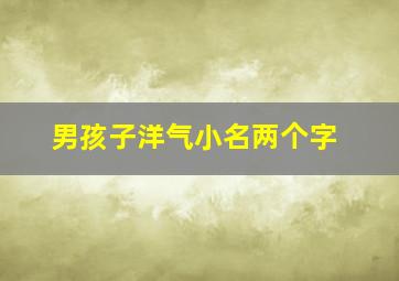 男孩子洋气小名两个字