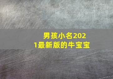 男孩小名2021最新版的牛宝宝