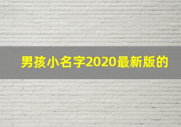 男孩小名字2020最新版的