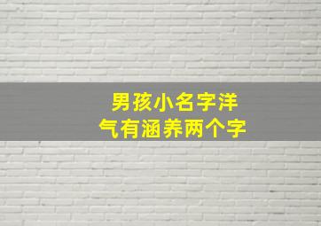 男孩小名字洋气有涵养两个字