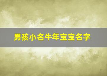 男孩小名牛年宝宝名字