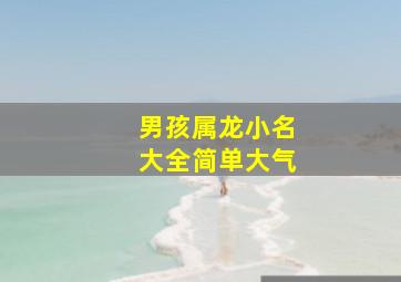 男孩属龙小名大全简单大气