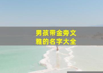 男孩带金旁文雅的名字大全