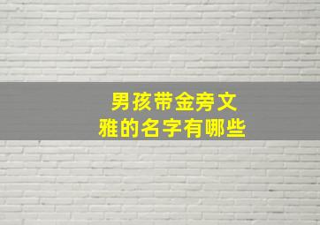 男孩带金旁文雅的名字有哪些