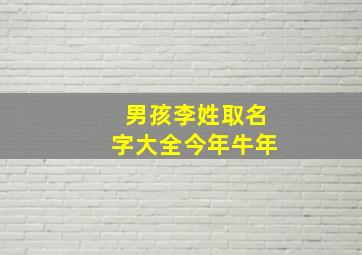 男孩李姓取名字大全今年牛年