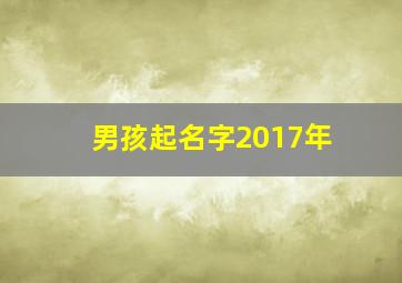 男孩起名字2017年