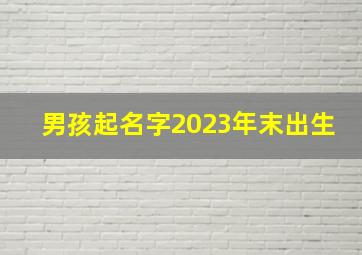 男孩起名字2023年末出生