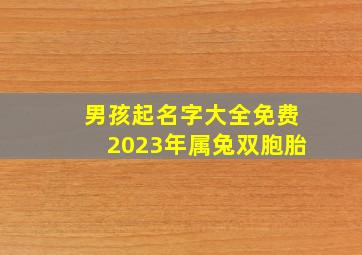 男孩起名字大全免费2023年属兔双胞胎