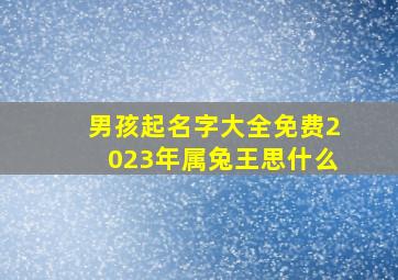 男孩起名字大全免费2023年属兔王思什么