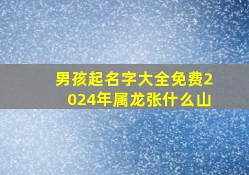 男孩起名字大全免费2024年属龙张什么山