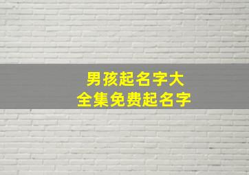 男孩起名字大全集免费起名字