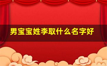 男宝宝姓李取什么名字好