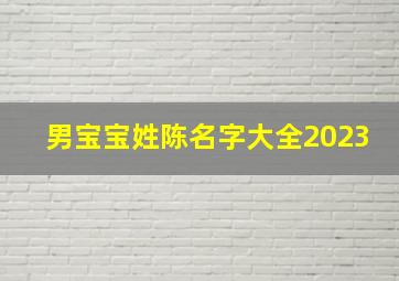 男宝宝姓陈名字大全2023