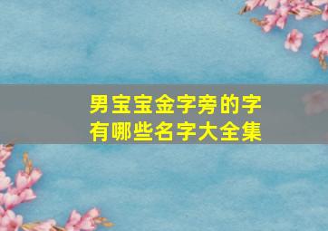 男宝宝金字旁的字有哪些名字大全集