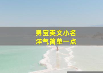 男宝英文小名洋气简单一点