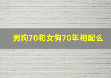 男狗70和女狗70年相配么