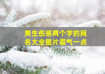 男生伤感两个字的网名大全图片霸气一点