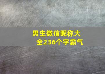 男生微信昵称大全236个字霸气