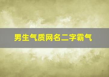 男生气质网名二字霸气