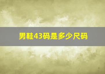 男鞋43码是多少尺码