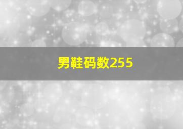 男鞋码数255