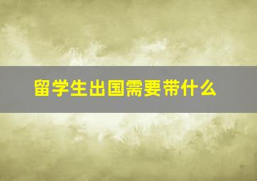 留学生出国需要带什么