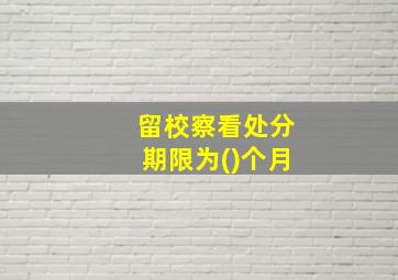 留校察看处分期限为()个月