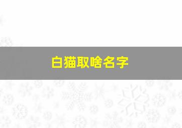 白猫取啥名字