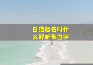 白猫起名叫什么好听带白字